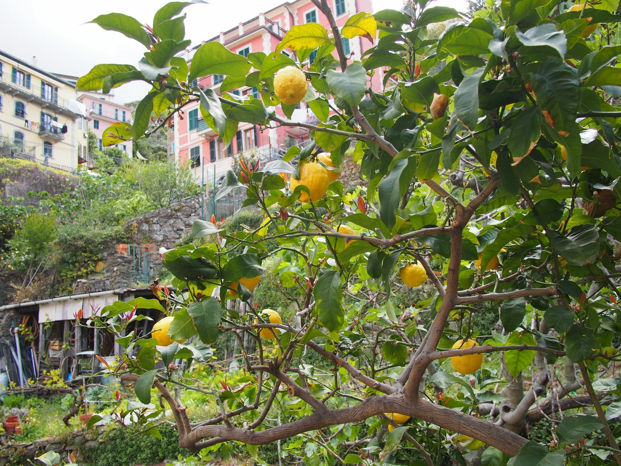 Ciao Bella Rainbow Hotel Riomaggiore Exterior photo